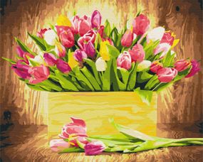 Картина за номерами "Празникові тюльпани" BS5666 40х50