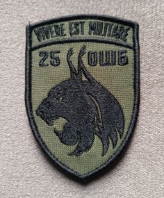 Шеврон 25 ОШБ (олива)