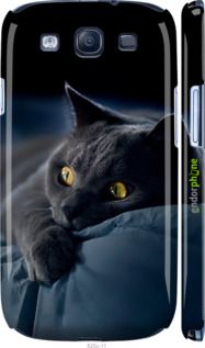 Чохол на Samsung Galaxy S3 i9300 Димчастий кіт "825m-11-2448"