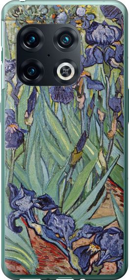 Чехол на OnePlus 10 Pro Винсент Ван Гог. Ирисы "161u-2588-17620"