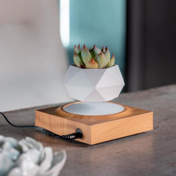 Магнітний левітаційний горщик для рослин HCNT Magnetic Levitating Pot M10-FP  Wood Grain | Зображення 2