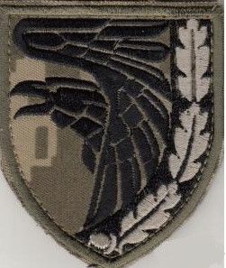 Шеврон 93 ОМБр Холодний Яр Піксель