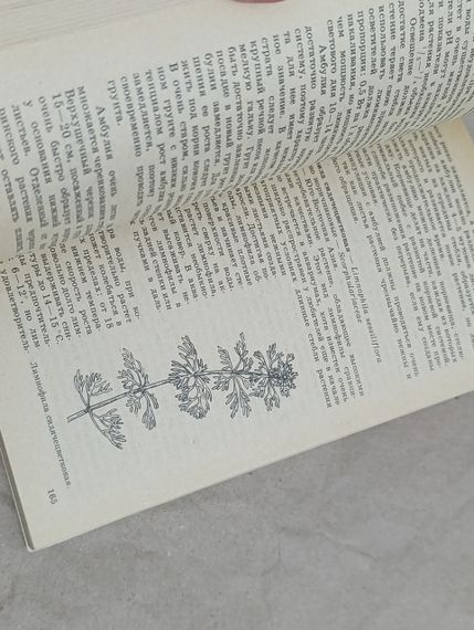 М.Б. ЦИРЛІНГ АКВАРІУМ і водні рослини 1991 | Зображення 7