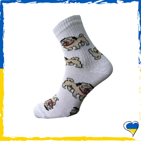 Шкарпетки жіночі принт Мопс. Шкарпетки з приколами. Носки принт 36-40