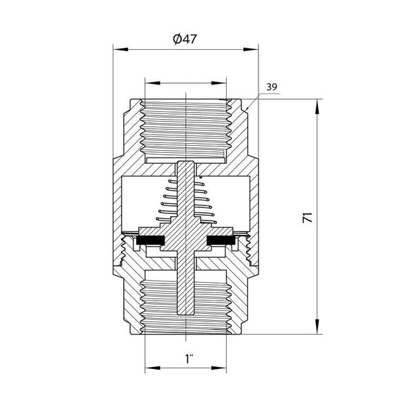 Обратний клапан Thermo Alliance Forte 1"ВВ никель с латунным штоком TAF240W25 | Зображення 1