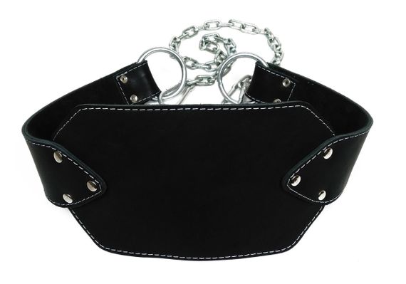 Пояс для обтяжень EasyFit (шкіра) до 250 кг (EF-DBC-250)