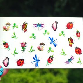 Слайдер B-11 на водяній основі (5x8см)