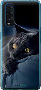 Чохол на Oppo Find X2 Димчастий кіт "825u-1891-2448"