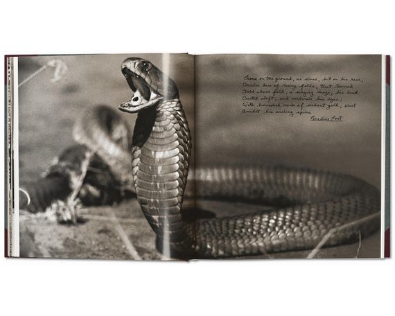 Книга альбом відомих фотографів про Африку фотографії Пітера Бірда Peter Beard. The End of the Game | Зображення 5