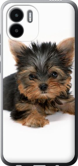 Чехол на Xiaomi Redmi A2 Щенок йоркширского терьера "931u-3026-17620"