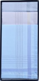 Чоловічі бавовняні носові хустинки Guasch 110.90J D.155