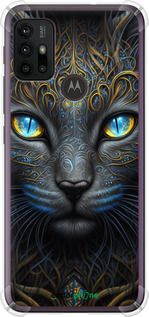 Чохол на Motorola Moto G20 Кішка "5548sp-2461-2448"