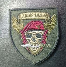 Шеврон 2 ДШР 1 ДШБ (зеленый)