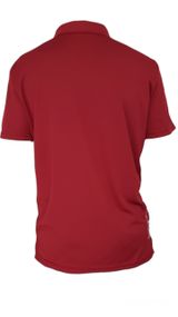 Футболка ПОЛО с коротким рукавом з принтом Born In Ukraine (Кулмакс) бордо 5XL (58)