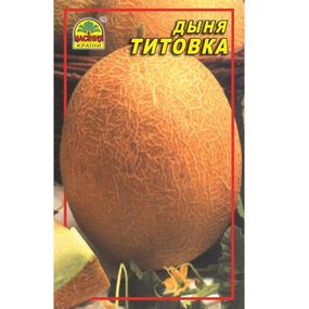 Насіння дині Тітовка 1 г (Насіння країни)