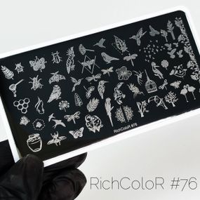 Пластина 076 для стемпінгу RichColor (12х6см)