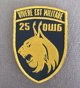 Шеврон 25 ОШБ / ОШП (черный)