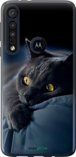Чохол на Motorola One Macro Димчастий кіт "825u-1812-2448"