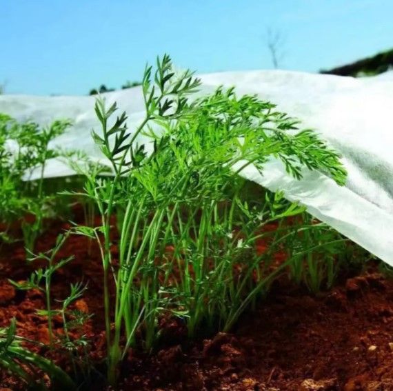 Агротканина Shadow 30 г/м² 1,6 x 50 м АВБР000161 | Зображення 3