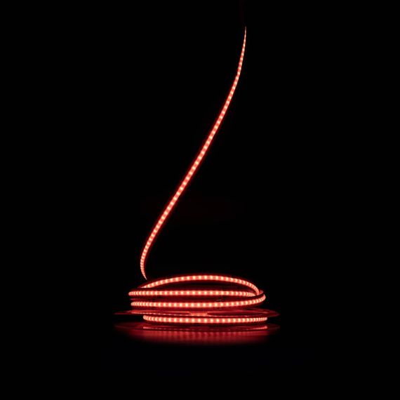 Світлодіодна LED стрічка PROLUM™ 24V IP20 СОВ 576LED Series "SG" RGB | Зображення 3