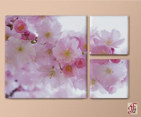 Друкована модульна картина   Гілка сакури. Триптіх 110х75 см