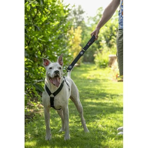 Шлея GimDog Harlem H для собак, нейлон, чорна, 2,5х67-90 см | Зображення 1