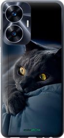 Чохол на Realme C55 Димчастий кіт "825u-2992-2448"
