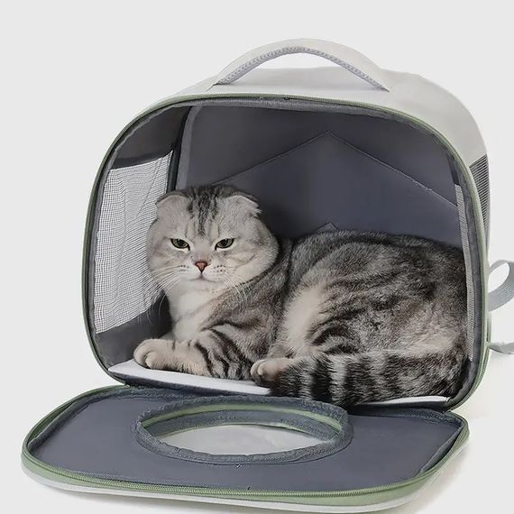 Рюкзак-переноска для кішок Taotaopets 35*30*21cm з ілюмінатором (MB12480-74736) | Зображення 1