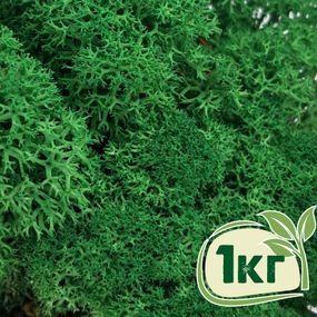 Стабілізований мох ягель Зелений трав'яний темний 1 кг