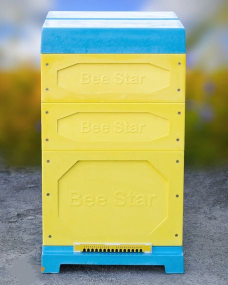 Вулик ППУ “BeeStar” (1 корпус Дадан 300 мм + 2 магазин на 10 рамок) – кольоровий | Зображення 1