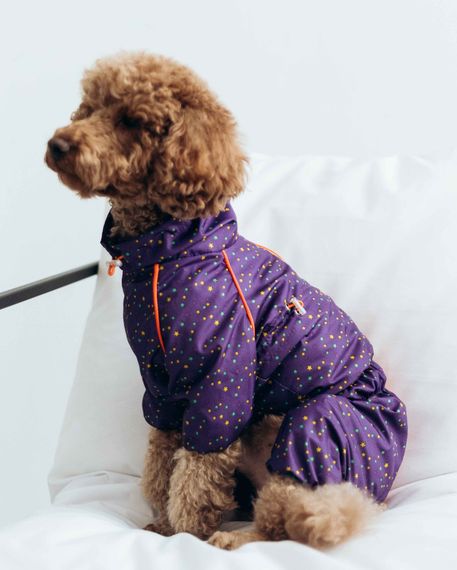 Дощовик кант зiрочки фiолет M-98 | Зображення 1