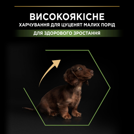 Сухий корм для собак Purina PRO PLAN Small & Mini Puppy Healthy Start для цуценят дрібних порід з куркою 700г | Зображення 1