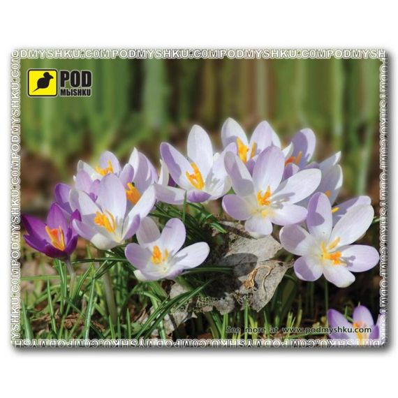 Килимок для мишки Pod Mishkou Весна-Крокуси (Весна-Крокуси)