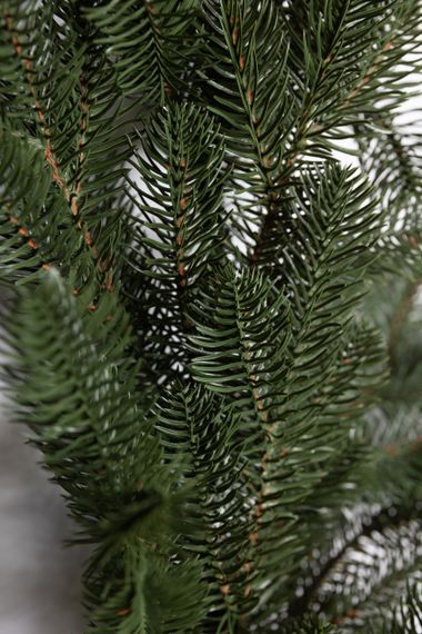 Штучна гірлянда Хвоя 2 м зелена, новорічна гірлянда лита реалістична Преміум KOS-HVO12 | Зображення 4