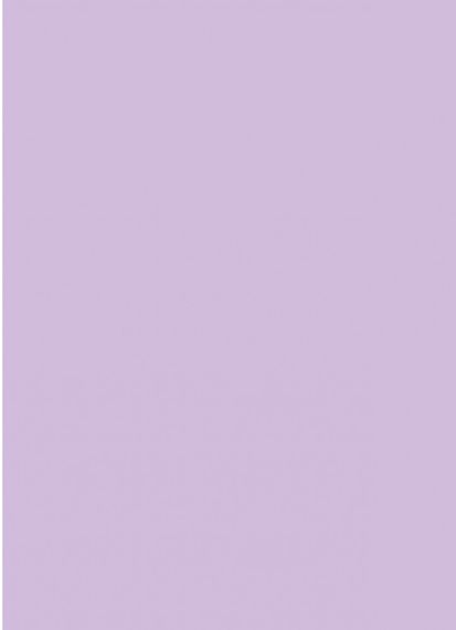 Блокнот 4Profi "Frutti note", violet 40 листов формат В6 903160 | Зображення 1