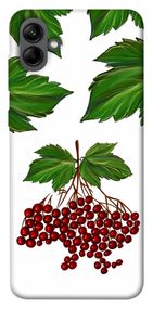 Чохол IBANAN Калина для Samsung Galaxy A04