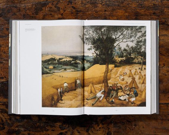 Литература для художников книга Питер Брейгель Старший Bruegel. The Complete Works. XXL живопись книги | Зображення 4