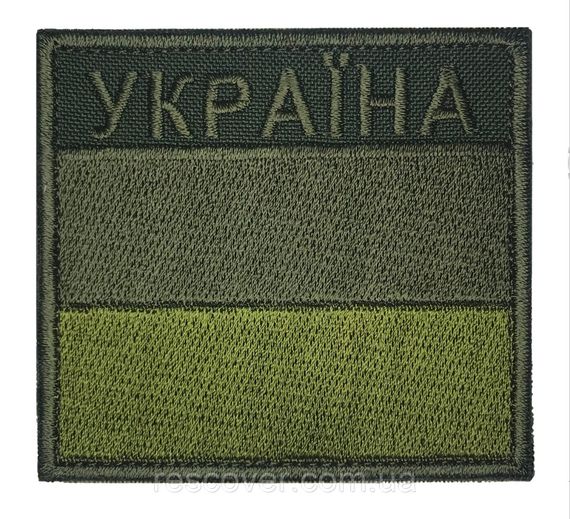 Шеврон прапорець ДПСУ (зелений)