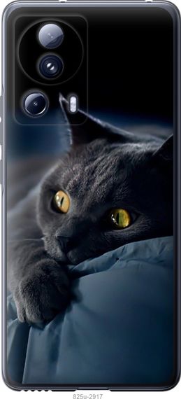 Чехол на Xiaomi Civi 2 Дымчатый кот "825u-2917-17620"