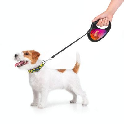 Поводок для собак WAUDOG R-leash Конотопские магические войска светоотражающая лента S 5 м (8124-0232-01) | Зображення 5