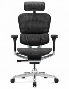 Кресло компьютерное ERGOHUMAN LUXURY 2 (EHL2-AB-HAM-5D-E-L) сетка Т-168-B1 BLACK