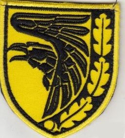 Шеврон 93 ОМБр Холодный Яр (желтый)