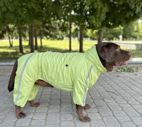 Дощовик Спорт на флiсi салатовий MF-32