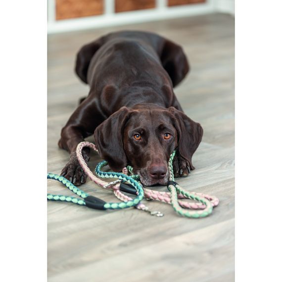 Повідок Trixie Cavo для собак S–M 1 м діаметр 12 мм рожево-пісочний | Зображення 1