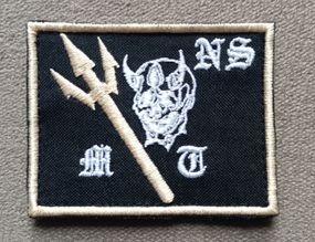 Шеврон mich team (череп)