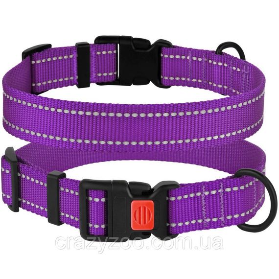 Ошейник для собак BronzeDog Active S нейлоновый фиолетовый 1.6х25-33 см 50/1307/Т
