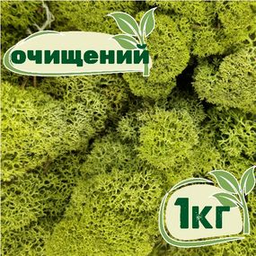 Очищенный стабилизированный мох ягель Nordic moss Зеленый светлый 1 кг