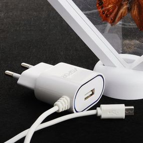 Мережевий зарядний пристрій Aspor A802 Plus 1 USB/2.4A LED + USB кабель Micro-білий