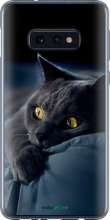Чохол на Samsung Galaxy S10e Димчастий кіт "825u-1646-2448"