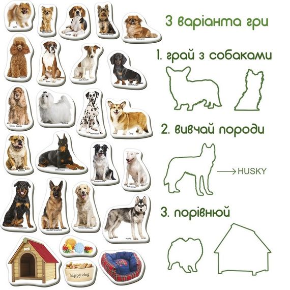 Дитячий розвиваючий набір магнітів "Породи собак" ML4031-20EN 24 фотомагніти | Зображення 2